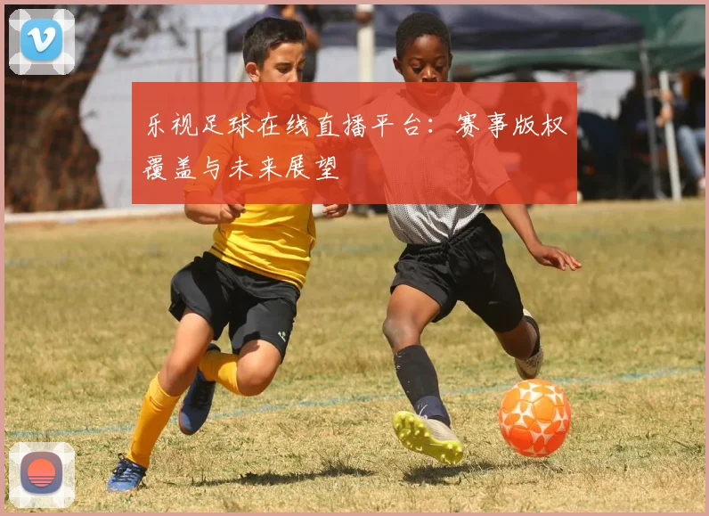 乐视足球在线直播平台：赛事版权覆盖与未来展望